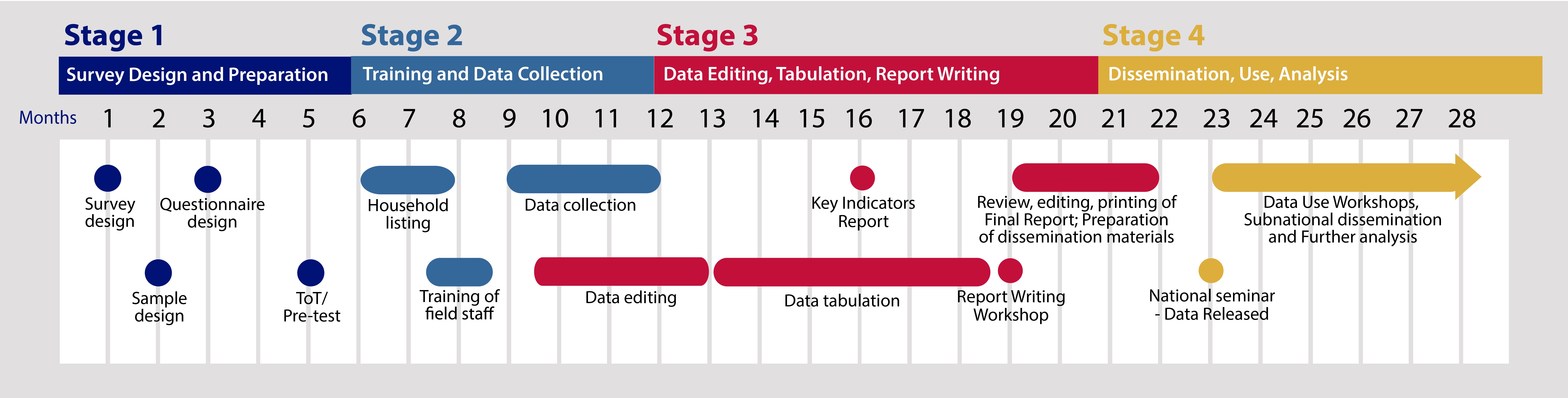 Survey Process Diagram