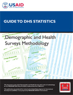 Cover of Guide to DHS Statistics (English)