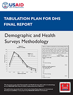 Cover of Tabulation Plan for DHS Final Report (English, French)
