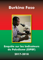 Cover of Burkina Faso MIS, 2017-18 - MIS Final Report (French)