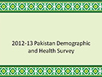 Cover of Pakistan: DHS, 2012-13 - Survey Presentations (English)