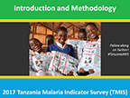 Cover of Tanzania: MIS, 2017 - Survey Presentations (English)