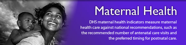 BR_MeasureDHS_Maternal-Health