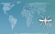 malaria country profile graphic